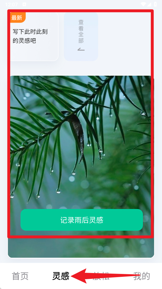 雨露趣看